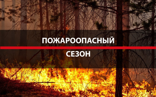 Установлении с 11 апреля 2025 года на территории Новосибирского района Новосибирской области пожароопасного сезона.